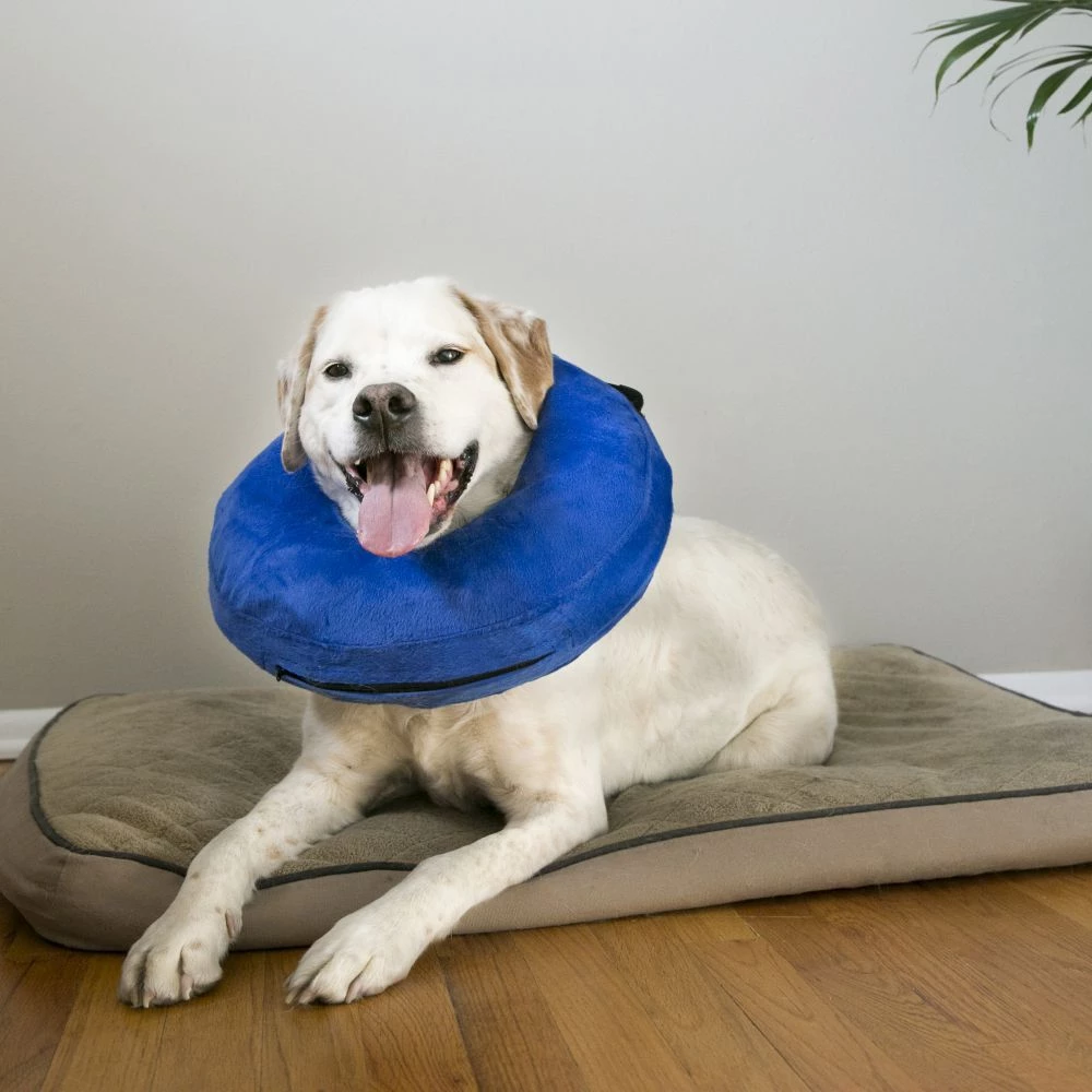 Kong Cloud Inflatable Collar, Small, EL3 2 Kong Cloud Inflatable Collar, Small, EL3 - Image 2