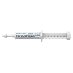 PetAG Bene-Bac Plus Pet Gel, Syringe, 99517-1