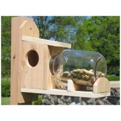 Backyard Boys Woodworking Squirrel Under Glass Feeder, BBW8