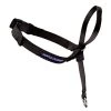 PETSAFE Gentle Leader Headcollar, Medium, GL-Q-HC-M-BLK, Black