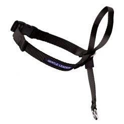PETSAFE Gentle Leader Headcollar, Medium, GL-Q-HC-M-BLK, Black