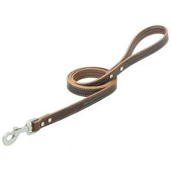 Terrain D.O.G. Bridle Leather Dog Leash, 06-2034-T1-4, Brown / Hurricane Blue, 3/4 IN x 4 FT
