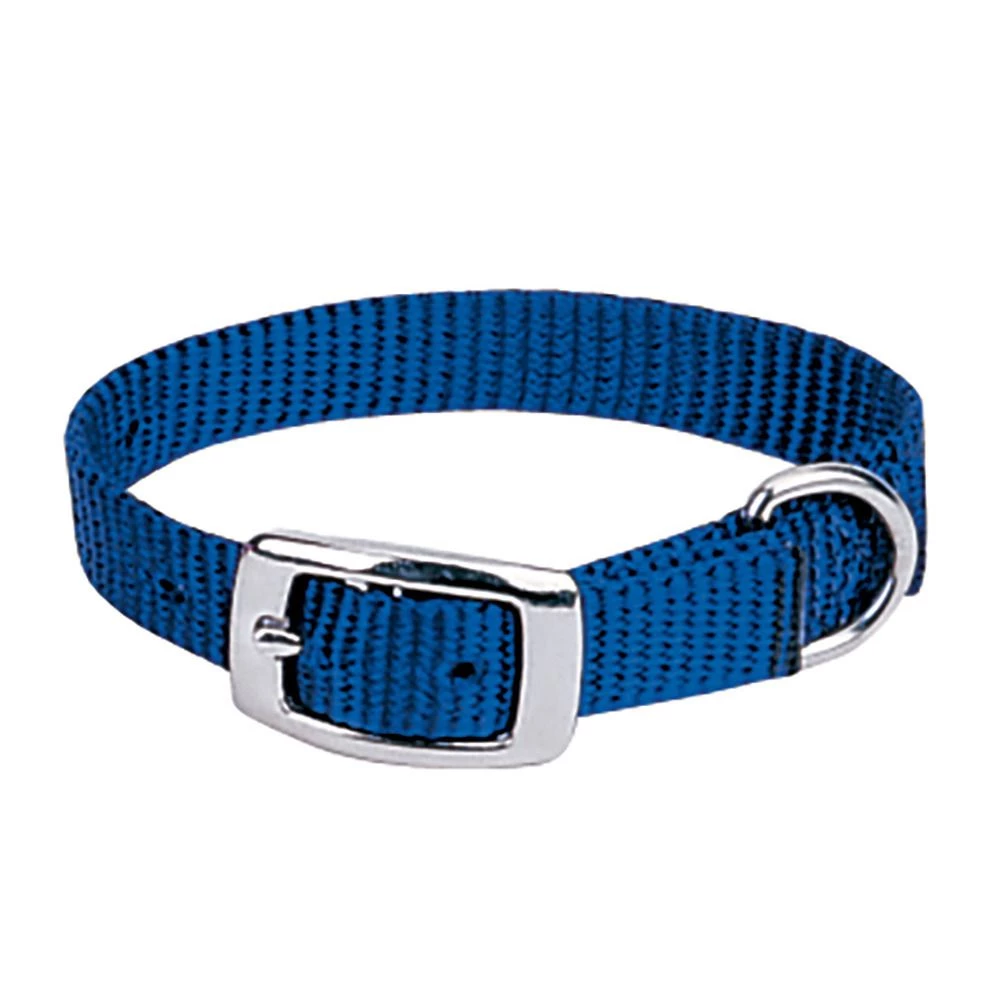 Weaver Pet Prism Choice Nylon Dog Collar, 07-0600-BL-11, Blue, 5/8 IN x 11 IN 1 Weaver Pet Prism Choice Nylon Dog Collar, 07-0600-BL-11, Blue, 5/8 IN x 11 IN