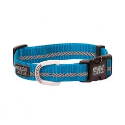 Terrain D.O.G. Reflective Snap-N-Go Adjustable Dog Collar, 07-0856-R2, Blue, 3/4 IN x 13 IN - 19 IN