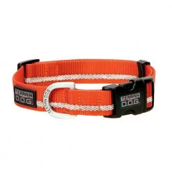 Terrain D.O.G. Reflective Snap-N-Go Adjustable Dog Collar, 07-0857-R3, Orange, 1 IN x 17 IN - 25 IN