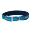 Terrain D.O.G. Reflective Neoprene Lined Dog Collar, 07-0861-R2-23, Blue, 1 IN x 23 IN