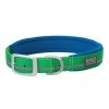 Terrain D.O.G. Reflective Neoprene Lined Dog Collar, 07-0861-R6-21, Green, 1 IN x 21 IN