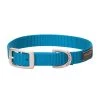 Terrain D.O.G. Nylon Single-Ply Dog Collar, 07-0930-S2-11, Blue, 5/8 IN x 11 IN