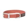 Terrain D.O.G. Nylon Single-Ply Dog Collar, 07-0930-S7-11, Coral, 5/8 IN x 11 IN