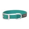 Terrain D.O.G. Nylon Single-Ply Dog Collar, 07-0930-S8-13, Mint, 5/8 IN x 13 IN