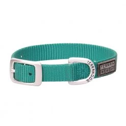 Terrain D.O.G. Nylon Single-Ply Dog Collar, 07-0930-S8-11, Mint, 5/8 IN x 11 IN