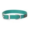 Terrain D.O.G. Nylon Single-Ply Dog Collar, 07-0931-S8-17, Mint, 3/4 IN x 17 IN