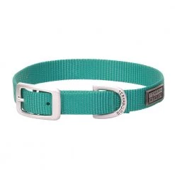 Terrain D.O.G. Nylon Single-Ply Dog Collar, 07-0931-S8-15, Mint, 3/4 IN x 15 IN