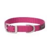 Terrain D.O.G. Nylon Single-Ply Dog Collar, 07-0931-S9-17, Pink, 3/4 IN x 17 IN