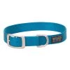 Terrain D.O.G. Nylon Single-Ply Dog Collar, 07-0932-S2-23, Blue, 1 IN x 23 IN