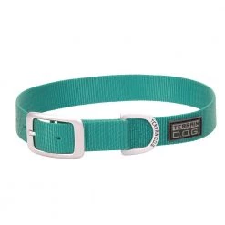 Terrain D.O.G. Nylon Single-Ply Dog Collar, 07-0932-S8-21, Mint, 1 IN x 21 IN