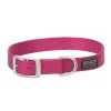 Terrain D.O.G. Nylon Single-Ply Dog Collar, 07-0932-S9-21, Pink, 1 IN x 21 IN
