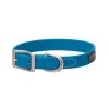 Terrain D.O.G. Brahma Webb Dog Collar, 07-3125-HB-15, Hurricane Blue, 3/4 IN x 15 IN