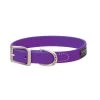 Terrain D.O.G. Brahma Webb Dog Collar, 07-3125-PU-17, Purple, 3/4 IN x 17 IN