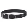 Terrain D.O.G. Brahma Webb Dog Collar, 07-3126-BK-21, Black, 1 IN x 21 IN