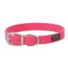 Terrain D.O.G. Brahma Webb Dog Collar, 07-3126-HP-21, Hot Pink, 1 IN x 21 IN