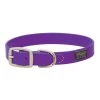 Terrain D.O.G. Brahma Webb Dog Collar, 07-3126-PU-19, Purple, 1 IN x 19 IN