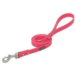 Terrain D.O.G. Brahma Webb Dog Leash, 07-3127-HP-4, Hot Pink, 3/4 IN x 4 FT