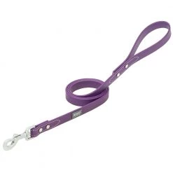 Terrain D.O.G. Brahma Webb Dog Leash, 07-3127-PU-4, Purple, 3/4 IN x 4 FT