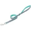 Terrain D.O.G. Patterned Dog Leash, 07-5615-C9-4, Hurricane Blue, 3/4 IN x 4 FT