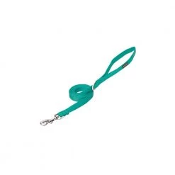 Terrain D.O.G. Nylon Single-Ply Dog Leash, 07-5651-S8-6, Mint, 3/4 IN x 6 FT