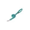 Terrain D.O.G. Nylon Single-Ply Dog Leash, 07-5652-S8-4, Mint, 1 IN x 4 FT