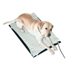 Farm Innovators Heated Pet Mat - Small, HM-60S -Pets Sales Store sftp a s assets20200922000000041 1