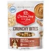 Chicken Soup For The Soul Crunchy Bites Peanut Butter Biscuit Dog Treats Food, 9013473, 12 OZ Bag