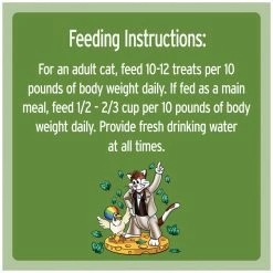 Temptations Crunchy and Soft Cat Treats Catnip Fever Flavor, 10141206, 16 OZ Tub -Pets Sales Store sftp a s assets20201021000000104