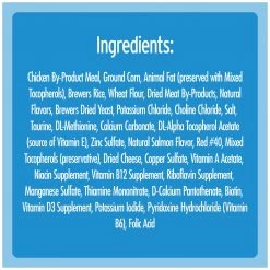 Temptations Classic Crunchy and Soft Cat Treats Savory Salmon Flavor, 10162837, 16 OZ Tub -Pets Sales Store sftp a s assets20201021000000194