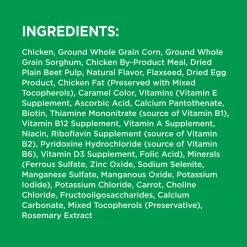 IAMS Adult Minichunks Small Kibble High Protein Dry Dog Food with Real Chicken, 10171566, 15 LB Bag -Pets Sales Store sftp a s assets20201021000000221