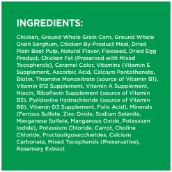 IAMS Adult Minichunks Small Kibble High Protein Dry Dog Food with Real Chicken, 10171567, 30 LB Bag -Pets Sales Store sftp a s assets20201021000000224