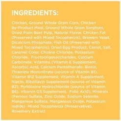 IAMS Smart Puppy Dry Dog Food with Real Chicken, 10172076, 7 LB Bag -Pets Sales Store sftp a s assets20201021000000272