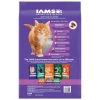IAMS Healthy Kitten Dry Cat Food with Chicken Kibble, 10178693, 16 LB Bag