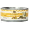 Whole Earth Farms Thanksgiving Day Dinner - Grain Free, 18456, 5 OZ Can