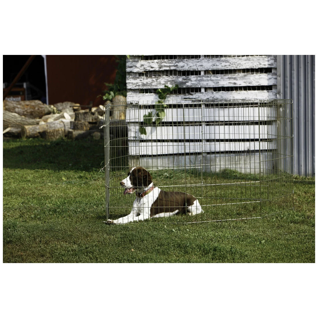 Pet Lodge Metal Pet Exercise Pen, 30 IN, 100441 2 Pet Lodge Metal Pet Exercise Pen, 30 IN, 100441 - Image 2