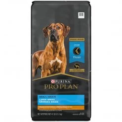 Pro Plan Dog Food Chicken & Rice - Large Breed, 47 LB Bag