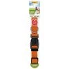 Ruffin' It Nyl Adjustable Collar Orange, 7N31643