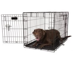 Petmate ProValu Double Door Wire Dog Crate, 7011275D, 42 IN x 28 IN x 30 IN 9 Petmate ProValu Double Door Wire Dog Crate, 7011275D, 42 IN x 28 IN x 30 IN -Pets Sales Store sftp a s assets20210322000000024 2