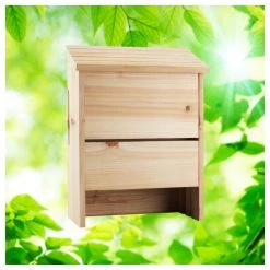 Northstates Bat House, 1641