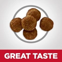 Hill's Science Diet Adult 7+ Perfect Digestion Chicken, Barley & Whole Oats Recipe Dry Cat Food, 605834, 3.5 LB Bag -Pets Sales Store sftp a s assets20211027000000066