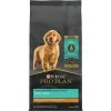 Pro Plan Dog Food Chicken & Rice - Puppy, 6 LB Bag