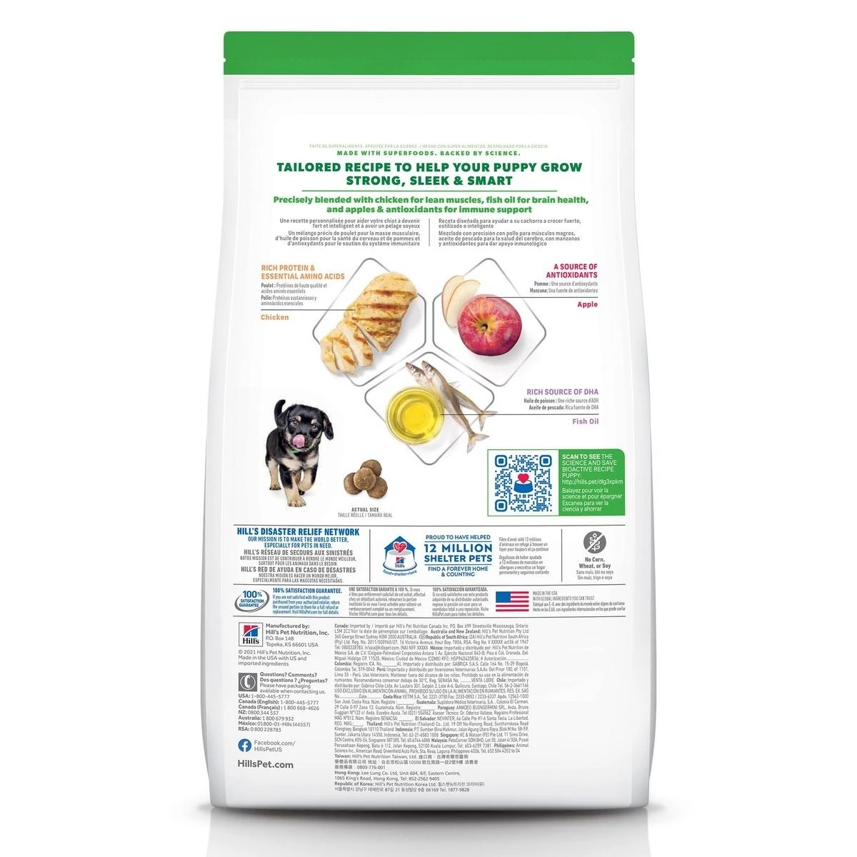 Hill's Bioactive Recipe Puppy Grow + Learn Chicken & Brown Rice Dry Dog Food, 603756, 11 LB Bag 2 Hill's Bioactive Recipe Puppy Grow + Learn Chicken & Brown Rice Dry Dog Food, 603756, 11 LB Bag - Image 2