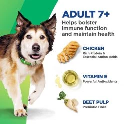 Hill's Bioactive Recipe Adult 7+ Thrive + Vigor Chicken & Brown Rice Dry Dog Food, 603752, 11 LB Bag -Pets Sales Store sftp a s assets20211202000000033