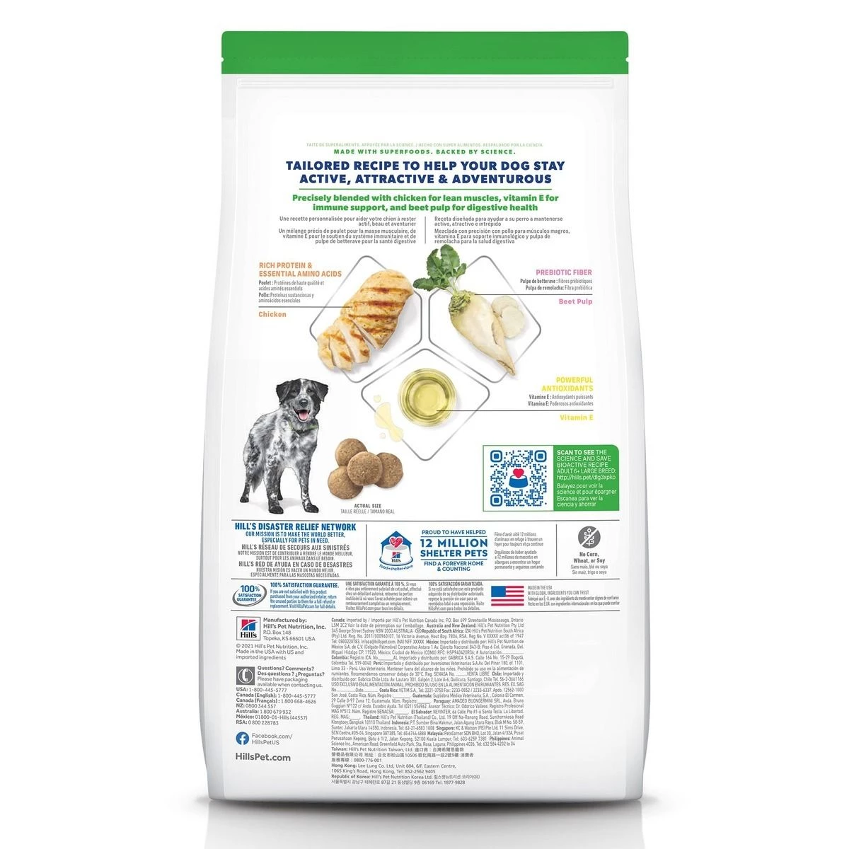 Hill's Bioactive Recipe Adult 6+ Large Breed Thrive + Vigor Chicken & Brown Rice Dry Dog Food, 603755, 22.5 LB Bag 2 Hill's Bioactive Recipe Adult 6+ Large Breed Thrive + Vigor Chicken & Brown Rice Dry Dog Food, 603755, 22.5 LB Bag - Image 2